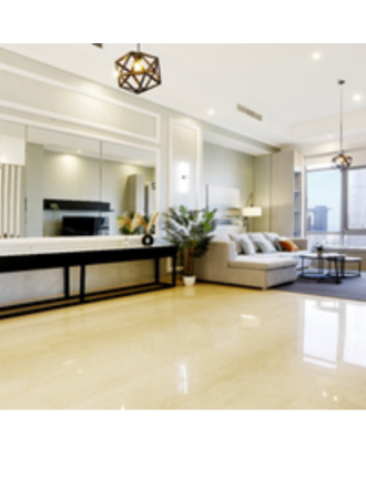 Luxury Property